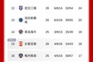 地獄難度！積分榜：新鵬城僅領(lǐng)先降級(jí)區(qū)2分，將戰(zhàn)國(guó)安+申花+蓉城