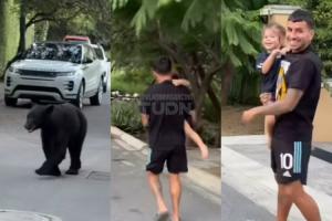 驚魂時刻！在路上遇到一頭熊，安赫爾-科雷亞抱著2歲女兒連連后退