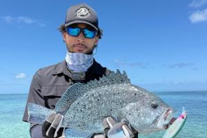 37歲大齡中鋒小喬丹再就業 29歲的本-西蒙斯還在失業中……