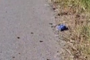 現場視頻！國米二門馬丁內斯車禍撞死老人，現場散落汽車碎片